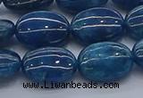 CAP384 15.5 inches 10*14mm oval apatite gemstone beads