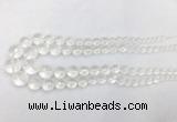 CCBS11 15 inches 6mm - 18mm faceted round white crystal beads wholesale