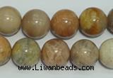 CCS307 15.5 inches 16mm round natural sunstone beads wholesale