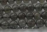 CMS1071 15.5 inches 6mm round grey moonstone beads wholesale