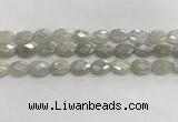 CMS1807 15.5 inches 10*14mm faceted oval AB-color moonstone beads