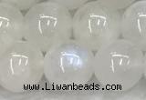 CMS1904 15.5 inches 12mm round white moonstone gemstone beads