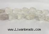 CNG3558 15.5 inches 18*20mm - 25*30mm nuggets rough white crystal beads