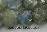 CNG5874 15.5 inches 8*12mm - 12*16mm faceted freeform labradorite beads