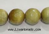 CTE906 15.5 inches 16mm faceted round golden tiger eye beads