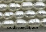 FWP153 14.5 inches 2mm - 3mm rice white freshwater pearl strands