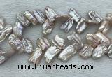FWP414 Top-drilled 12*16mm - 13*18mm biwa freshwater pearl beads