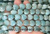 HGBS133 15 inches 12mm faceted heart amazonite beads wholesale