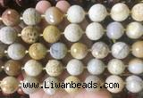 LSBS217 15 inches 16mm faceted round chrysanthemum jasper beads wholesale