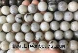 LSBS921 15 inches 16mm round labradorite gemstone beads wholesale