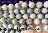 LSBS940 15 inches 16mm faceted round Labradorite gemstone beads wholesale