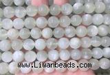 MSBS33 15 inches 10mm round green moonstone gemstone beads wholesale