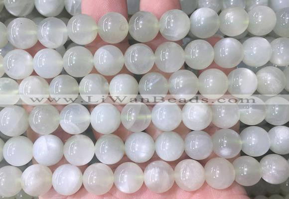 MSBS33 15 inches 10mm round green moonstone gemstone beads wholesale