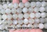 MSBS34 15 inches 12mm round green moonstone gemstone beads wholesale