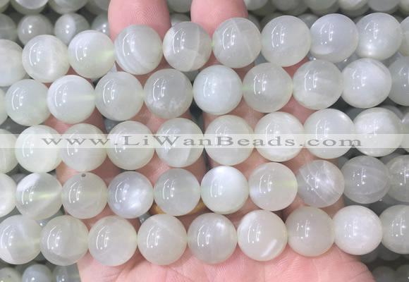 MSBS34 15 inches 12mm round green moonstone gemstone beads wholesale