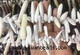 TDBS02 Top drilled 6*20mm - 8*55mm sticks sea urchin shell beads wholesale
