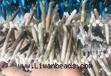 TDBS03 Top drilled 6*20mm - 8*55mm sticks sea urchin shell beads wholesale